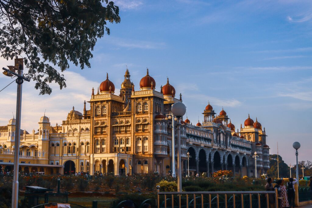 pexels pranavsinh232 5480518