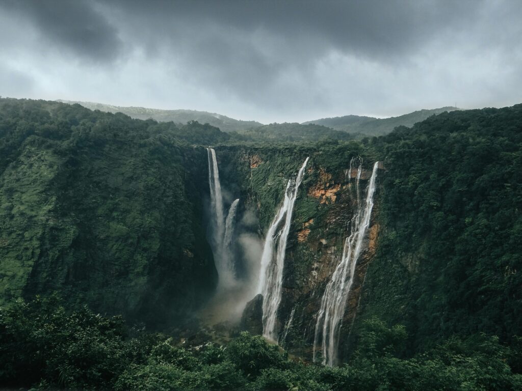 pexels sharadbhat 4203212